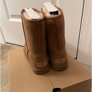Gently worn chestnut uggs